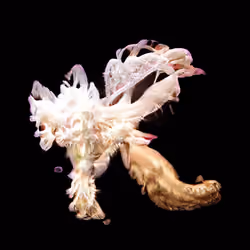 Bestiary from a Distant World #1417
