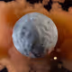 29300020012