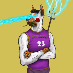79