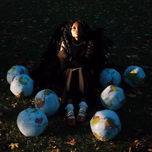 Blackbird- The world is yours