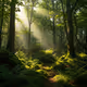 LIVE FOREST