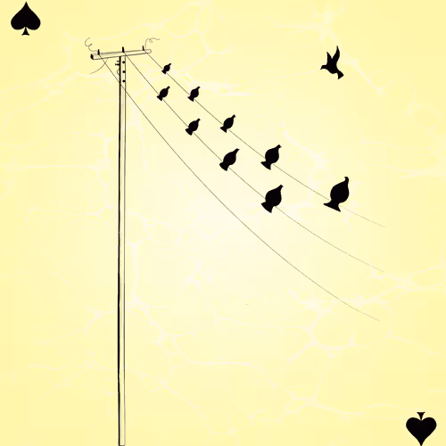 10
