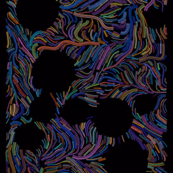 411