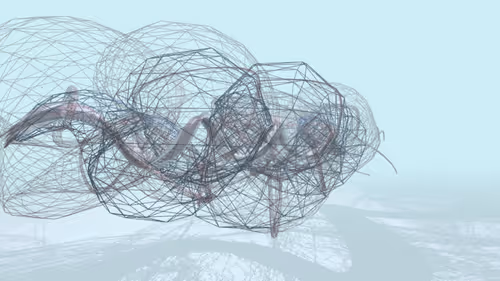 Item #333464102 Media