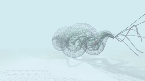 Item #4004544569 Media