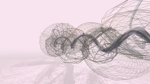 Item #497199018 Media