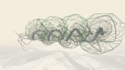 Item #816104987 Media