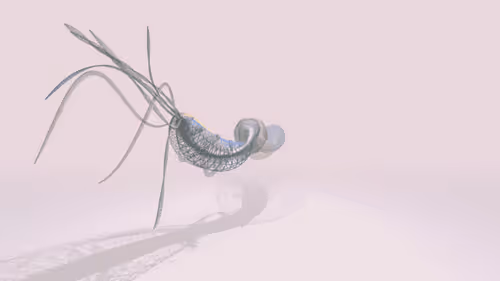 Item #299063240 Media