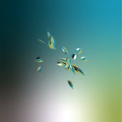 Fragments