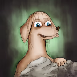 Hapoochi #287