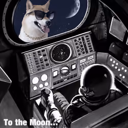 To The Moon #f5f5f5