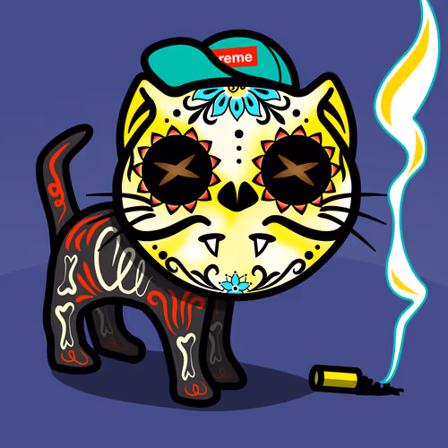 Katmonstarzwtf