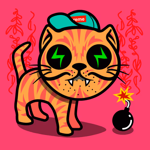 Katmonstarzwtf