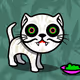 41