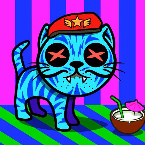 Katmonstarzwtf