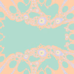 Newton Fractal #566