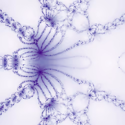Newton Fractal #2022