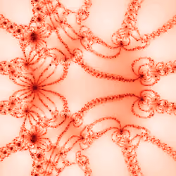Newton Fractal #339