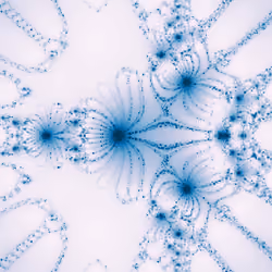 Newton Fractal #755
