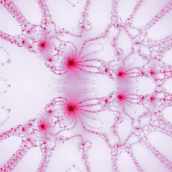 Newton Fractal #1815