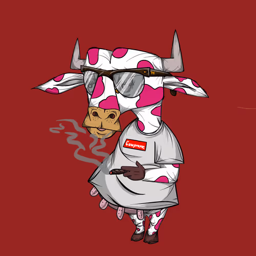 Chunky Cow Club Tour Official