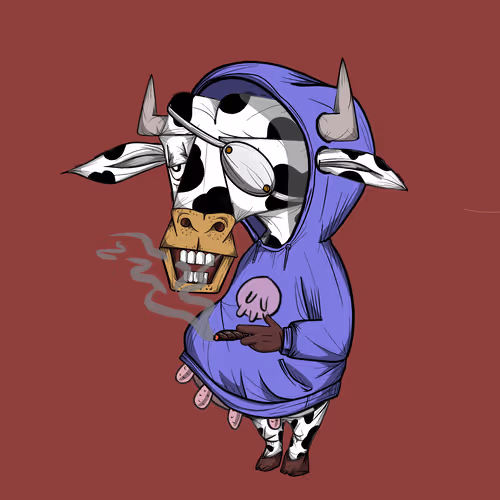 Chunky Cow Club Tour Official