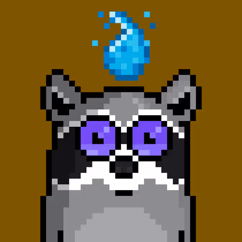 RacoonBirds #109