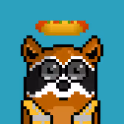 RacoonBirds #456