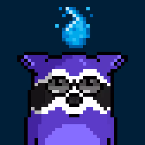 RacoonBirds #417