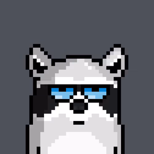 RacoonBirds #917