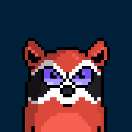 RacoonBirds #424