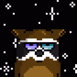 RacoonBirds #495