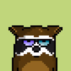 RacoonBirds #520