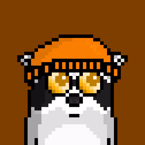 RacoonBirds #1036