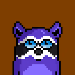 RacoonBirds #457