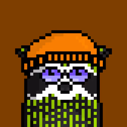 RacoonBirds #21