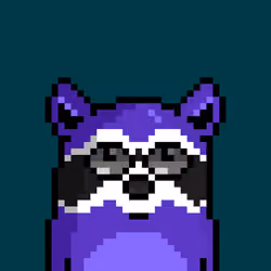 RacoonBirds #429