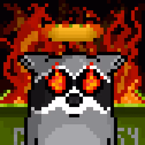 RacoonBirds #423