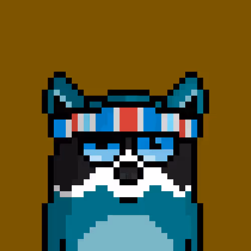 RacoonBirds #1188