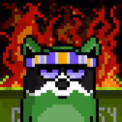 RacoonBirds #235