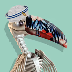 Travel Toucan #37