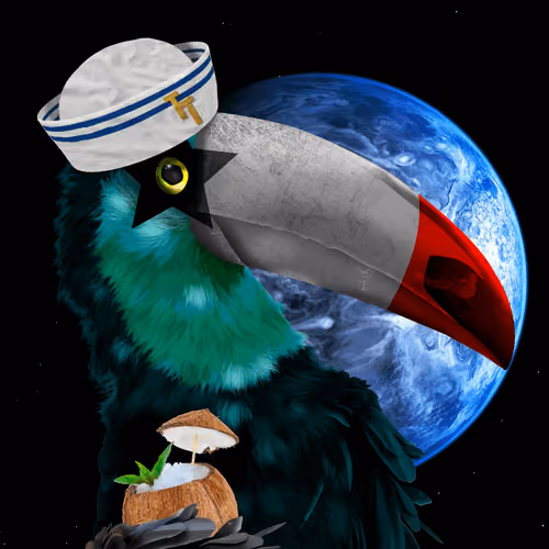 Travel Toucan #142