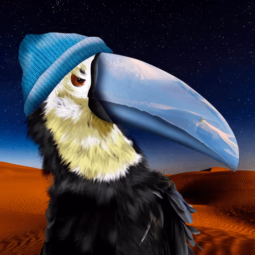 Traveltoucans