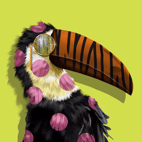 Traveltoucans