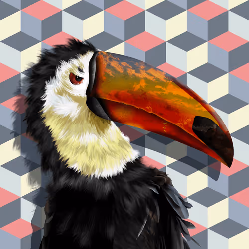 Traveltoucans