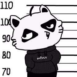 48