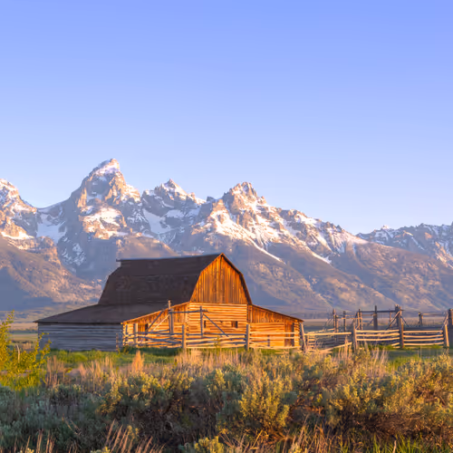 Brynn Alise Summer Barn
