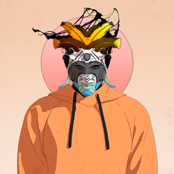 Omnimorph #9893
