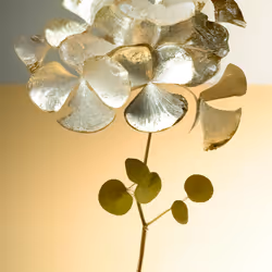 Marcador de posición de elemento multimedia