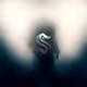 Kraken Mascot Reveal Experience